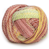 Schoppel Wolle Crazy Zauberball