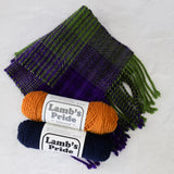Begin to Weave on a 4-Shaft Loom: Two-Day Weekend Class - November 21st & 22nd 2026