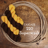 220 Superwash Sport Yarn from Cascade Yarns