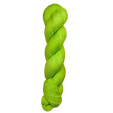 Blackbird Sycamore Fingering Mini Skein Yarn Color green 