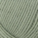 Plymouth Yarn Encore Worsted Yarn-152