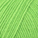 Plymouth Yarn Encore Worsted Yarn-149