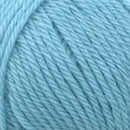 Plymouth Yarn Galway Yarn-53