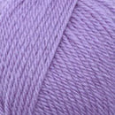 Plymouth Yarn Galway Yarn-58