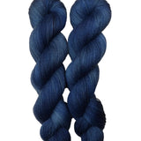 Blackbird Sycamore Mini Skein Fingering Yarn