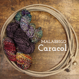 Malabrigo Caracol Yarn