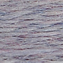 DMC Eco Vita Organic Wool Thread-41