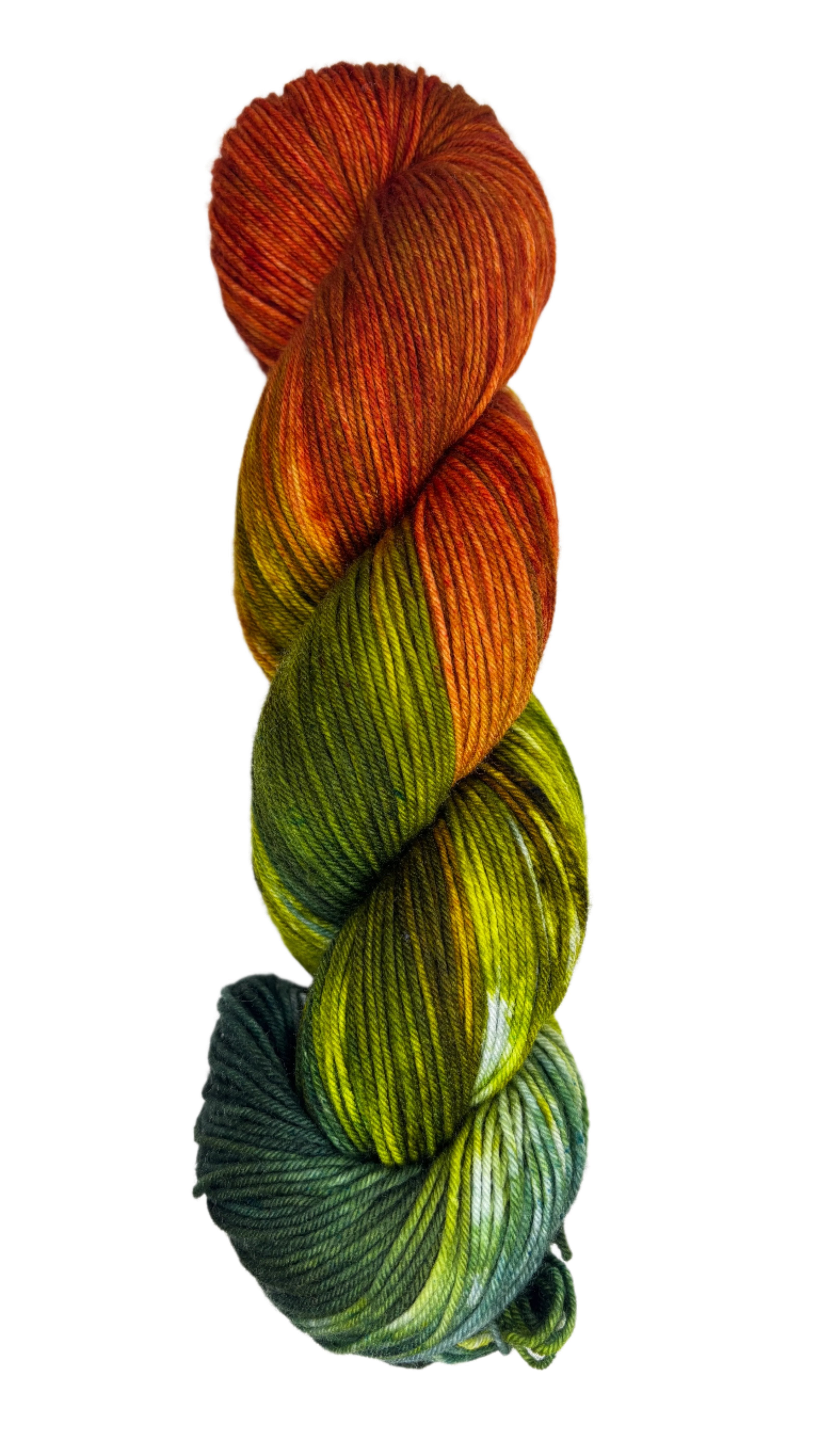 variegated skein of yarn