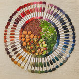 DMC Eco Vita Organic Wool Thread