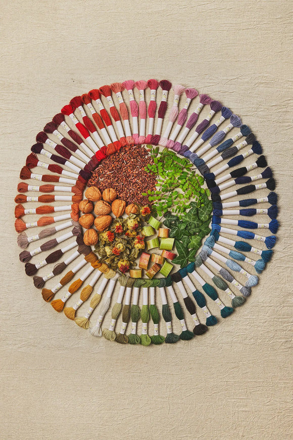 DMC Eco Vita Organic Wool Thread