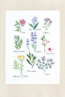 DMC Intermediate Herbs Cross Stitch Kit-2