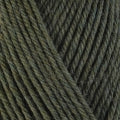 Detailed view of a skein of superwash wool yarn, showcasing a green hue.