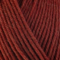 Detailed view of a skein of superwash wool yarn, showcasing a rust hue.