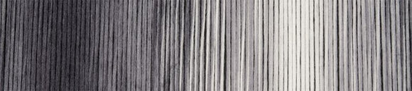 Schoppel-Wolle: Woll-Schwestern or Wool Sisters Yarn