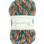 Skein of self striping yarn color red orange green white