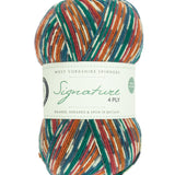 Skein of self striping yarn color red orange green white