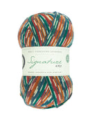 Skein of self striping yarn color red orange green white
