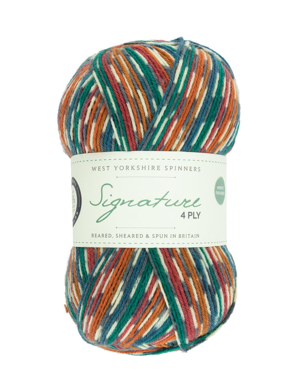 Skein of self striping yarn color red orange green white