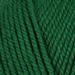 Green sample of Encore Plymouth Yarn