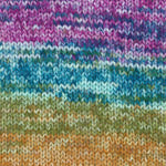 A rainbow mix of Plymouth Encore Colorspun yarn
