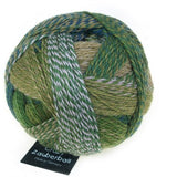 Schoppel Wolle Crazy Zauberball yarn color blue, green, and tan