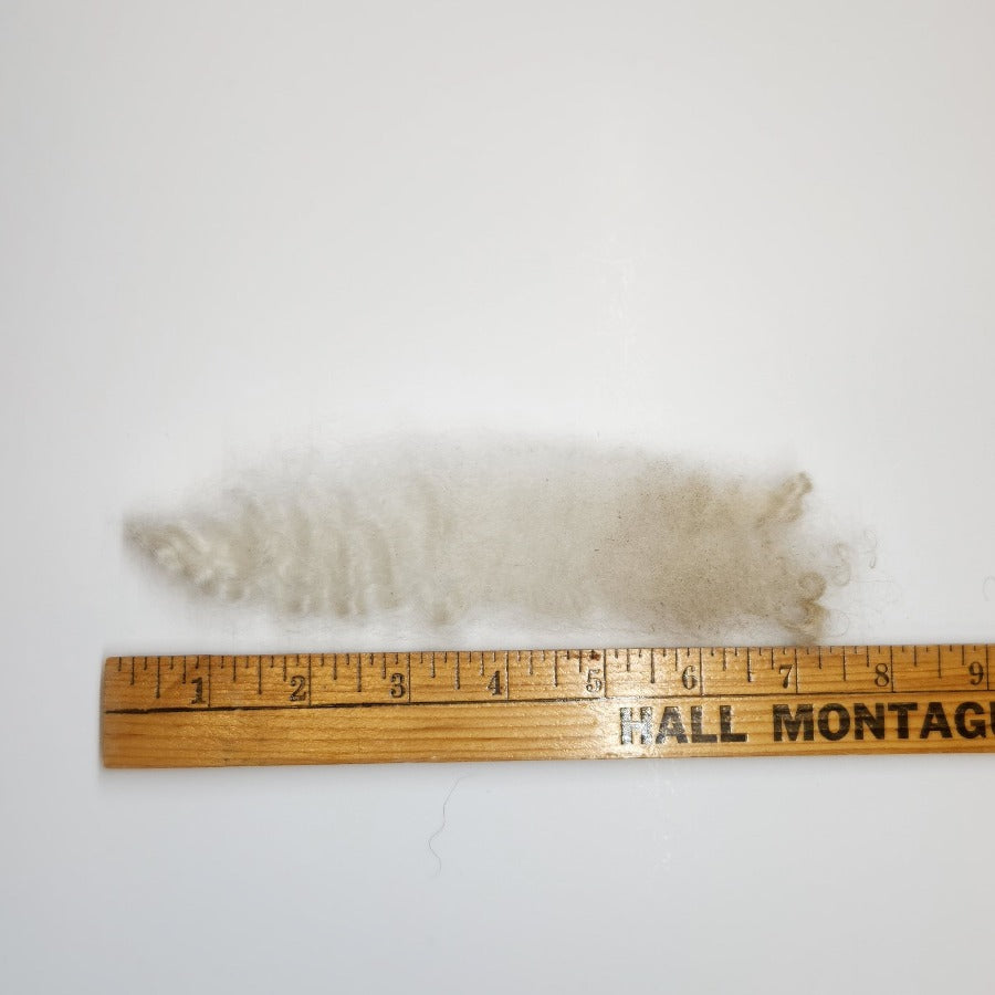 Tronstad Ranch staple length from  Natural White Fleece from Vanilla 65.6 oz