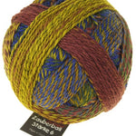 A photo of a colorful ball of Schoppel Zauberball Starke 6 yarn