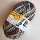 A photo of a colorful skein of Regia yarn