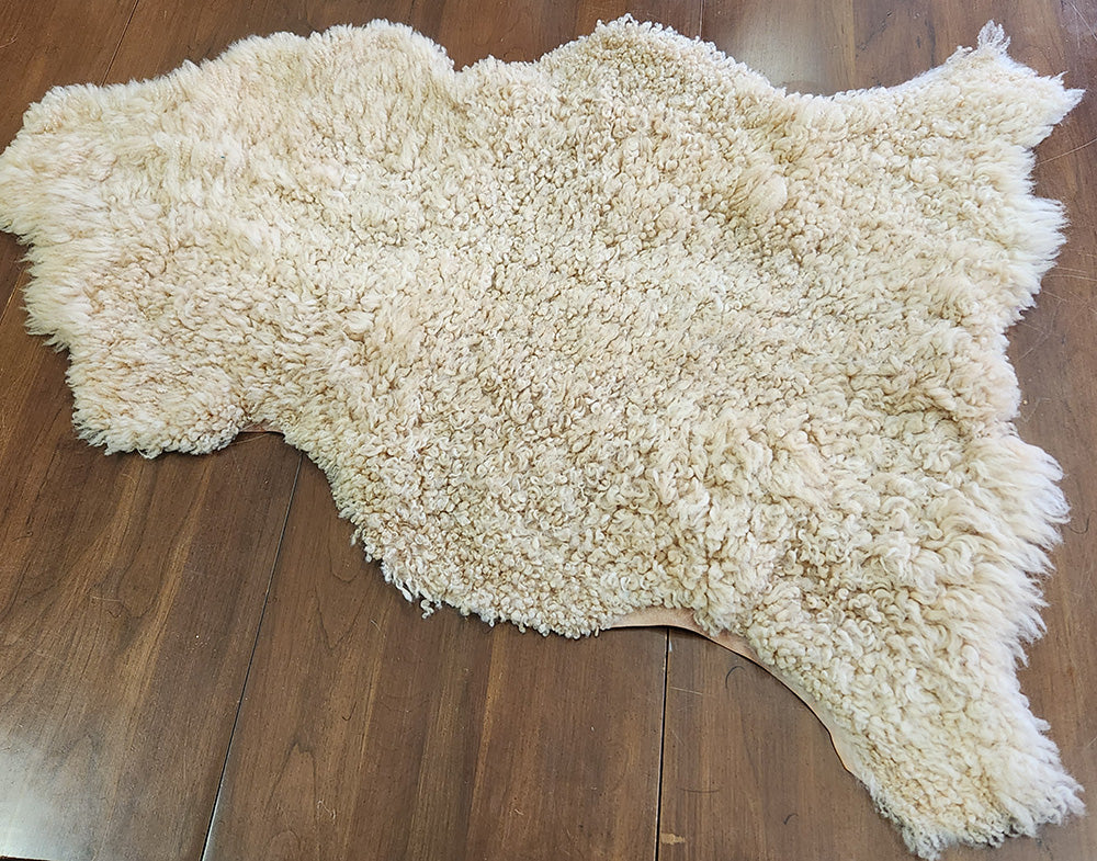 2106 White Lamb, BLXTeeswater, Short staple, Curles, Naturally tanned Pelt