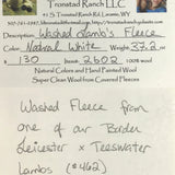 Tronstad Ranch Natural White Fleece From Lamb #462 37.2 Ounces