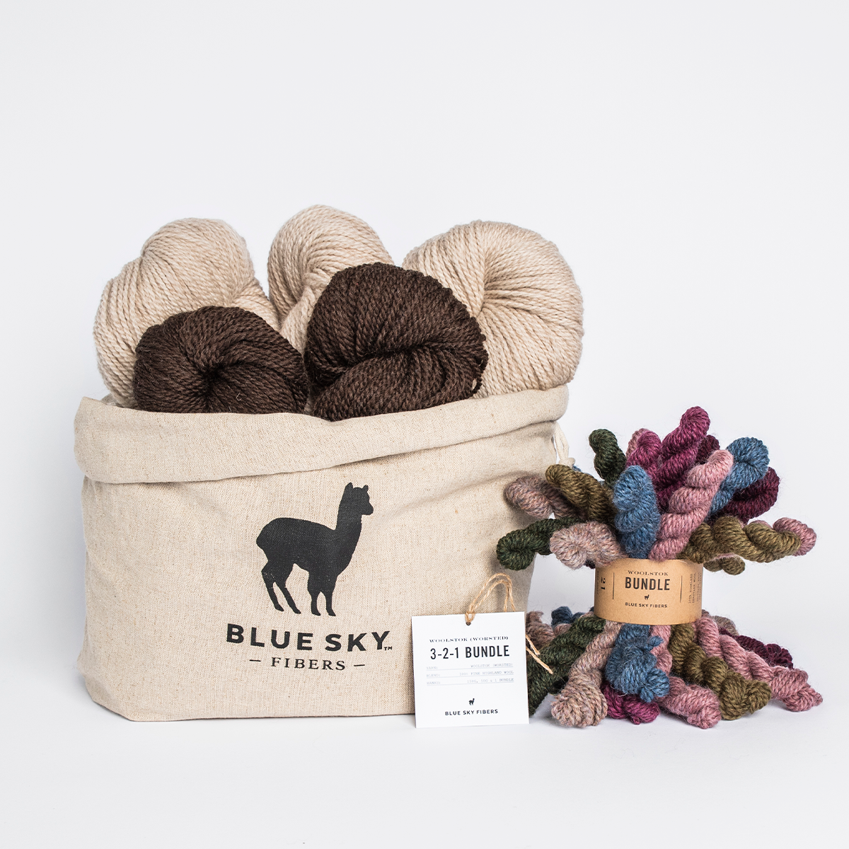 Blue Sky Fibers 3-2-1 Woolstok yarn (Worsted) Bundle color bramble and fig