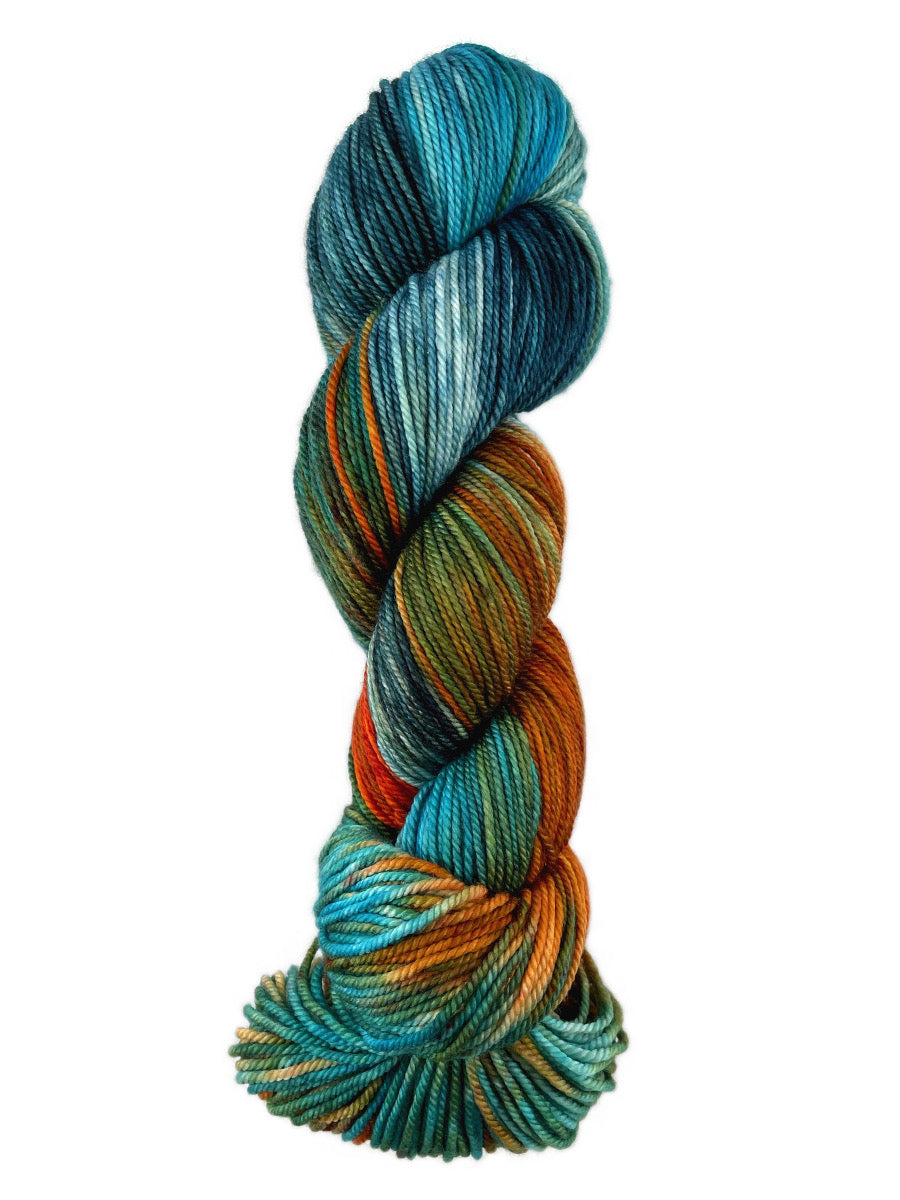 A colorful skein of Western Sky Knits Merino 17 DK