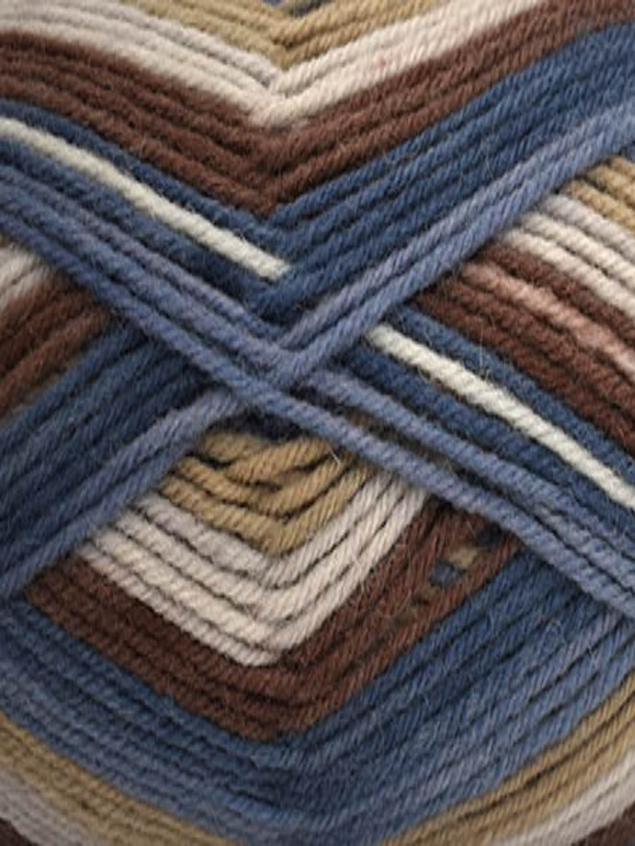 Close up of a skein of Deluxe Stripes in colorway 307 Timber