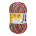 A photo of a colorful skein of Regia yarn