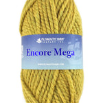 A green skein of Plymouth Encore Mega yarn