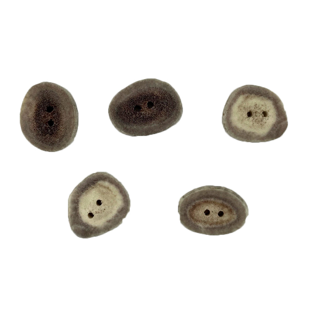 5 nickel size antler buttons