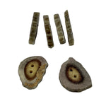6 nickel size antler buttons
