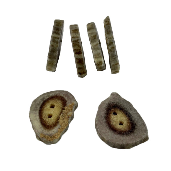 6 nickel size antler buttons