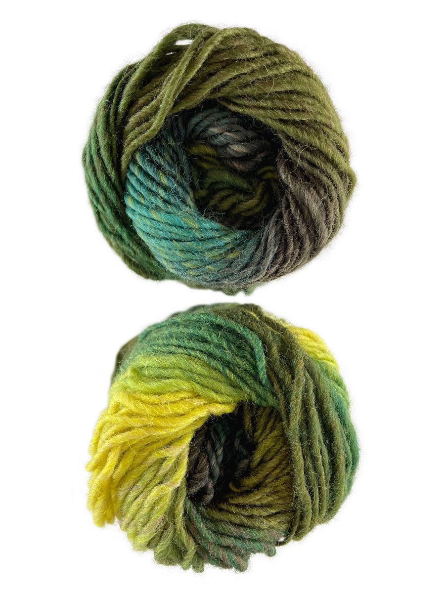 A photo of two blue, green and yellow skeins of yarn