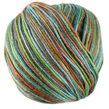 A colorful skein of Universal Bamboo Pop yarn