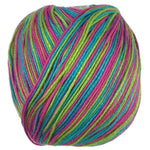 A colorful skein of Universal Bamboo Pop yarn