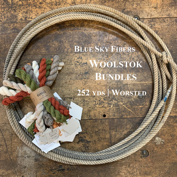 Blue Sky Fibers Woolstok yarn Bundle Kit on a wooden surface