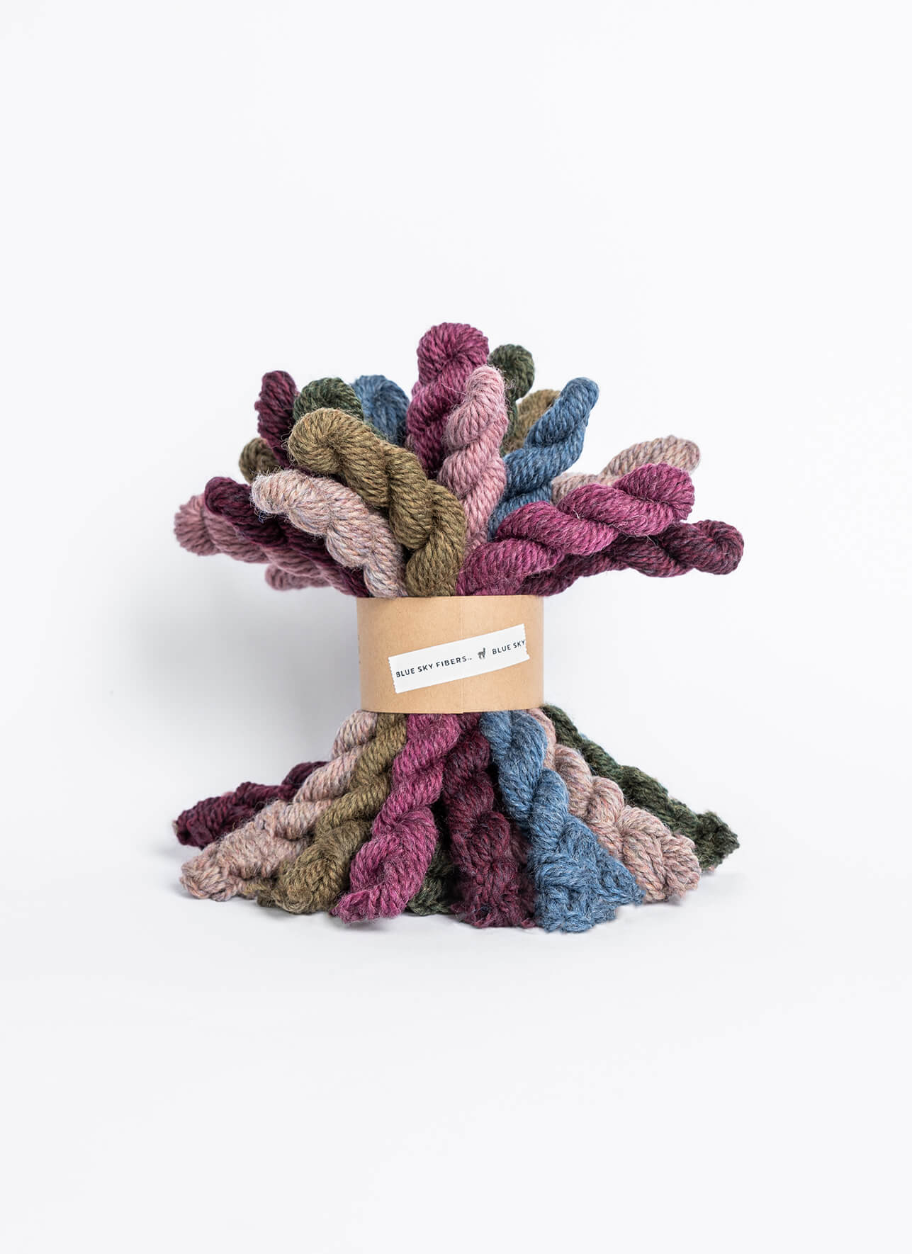 Blue Sky Fibers Woolstok yarn Bundle Kit color brambles and fig