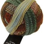 Schoppel Wolle Crazy Zauberball yarn color green, red, and tan