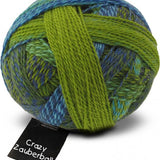 Schoppel Wolle Crazy Zauberball yarn color blue and green