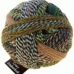Schoppel Wolle Crazy Zauberball yarn color multi naturals
