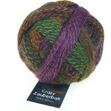 Schoppel Wolle Crazy Zauberball yarn color purple, green, and tan