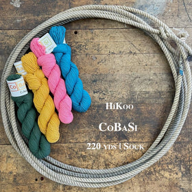 Piicture of four hanks of HiKoo CoBaSi yarn in a lasso