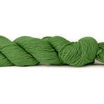 A photo of a green hank of CoBaSi sock yarn.