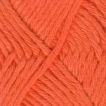 Coastal Cotton 1023 Cotton Yarn